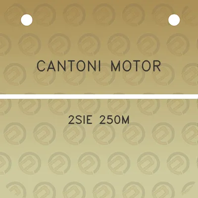 cantoni-motor-2sie-250m