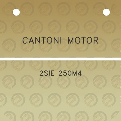 cantoni-motor-2sie-250m4