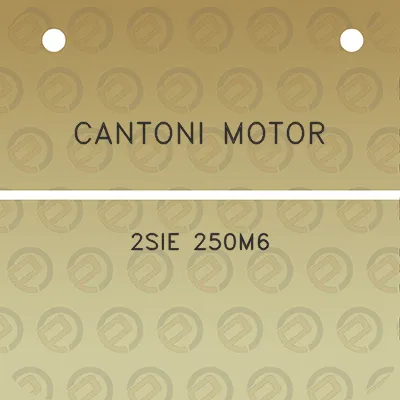 cantoni-motor-2sie-250m6