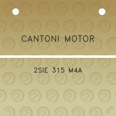 cantoni-motor-2sie-315-m4a