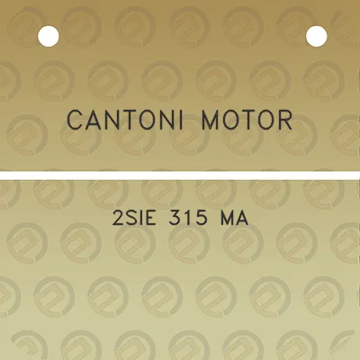 cantoni-motor-2sie-315-ma