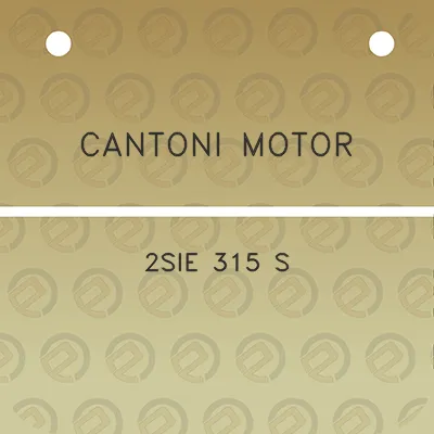 cantoni-motor-2sie-315-s