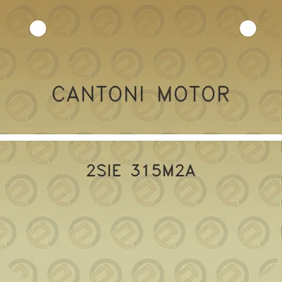 cantoni-motor-2sie-315m2a