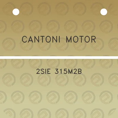 cantoni-motor-2sie-315m2b