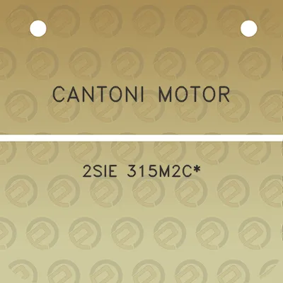 cantoni-motor-2sie-315m2c