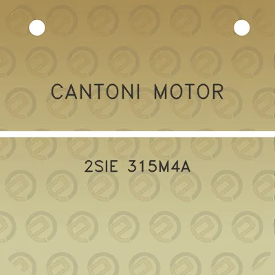 cantoni-motor-2sie-315m4a