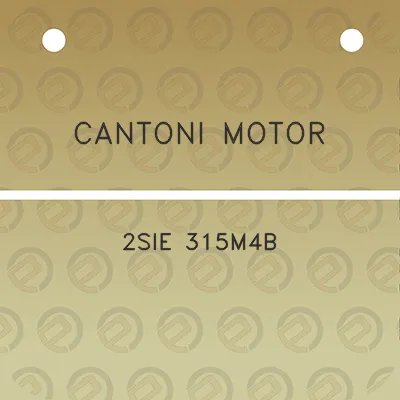 cantoni-motor-2sie-315m4b