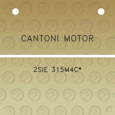 cantoni-motor-2sie-315m4c