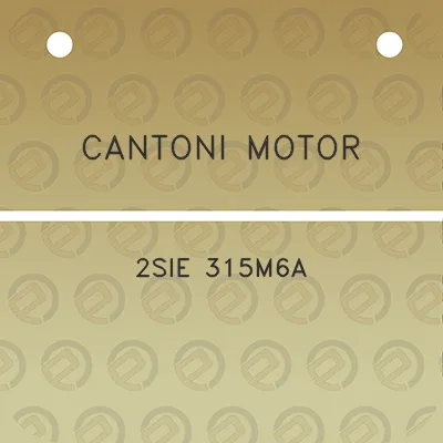 cantoni-motor-2sie-315m6a