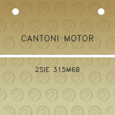 cantoni-motor-2sie-315m6b