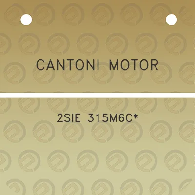 cantoni-motor-2sie-315m6c