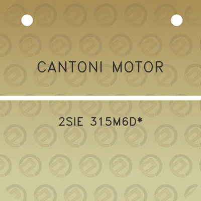 cantoni-motor-2sie-315m6d