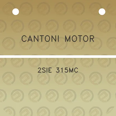 cantoni-motor-2sie-315mc