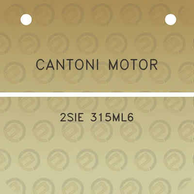 cantoni-motor-2sie-315ml6