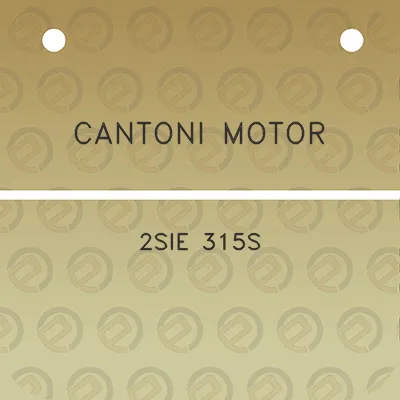 cantoni-motor-2sie-315s