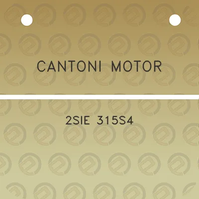 cantoni-motor-2sie-315s4