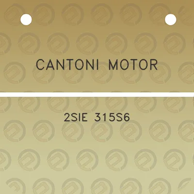 cantoni-motor-2sie-315s6