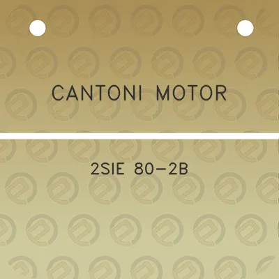 cantoni-motor-2sie-80-2b