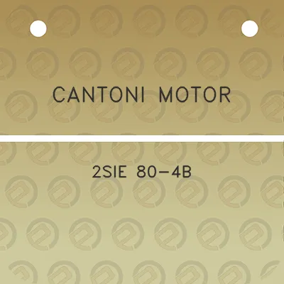 cantoni-motor-2sie-80-4b