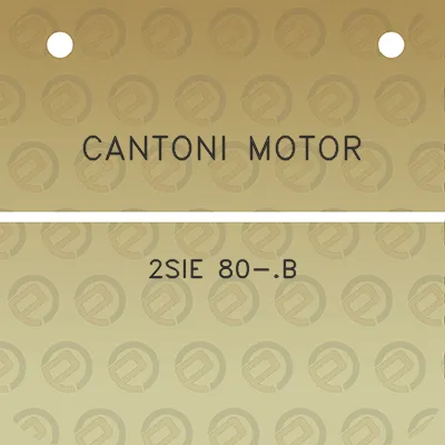 cantoni-motor-2sie-80-b