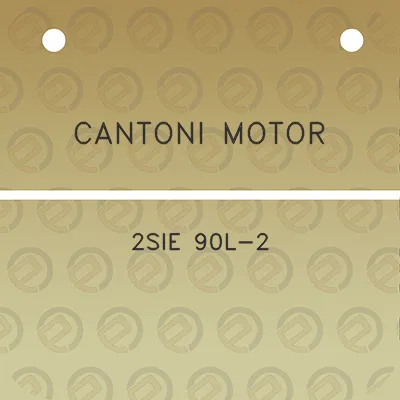 cantoni-motor-2sie-90l-2