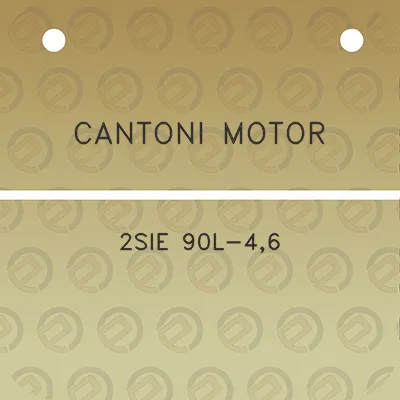 cantoni-motor-2sie-90l-46