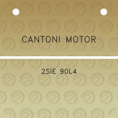 cantoni-motor-2sie-90l4