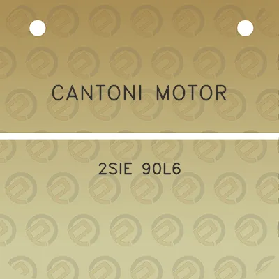 cantoni-motor-2sie-90l6