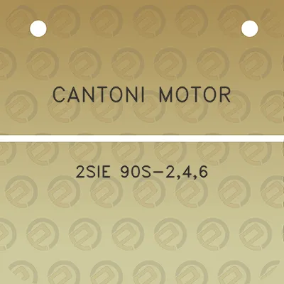 cantoni-motor-2sie-90s-246