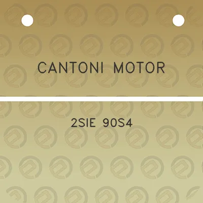 cantoni-motor-2sie-90s4