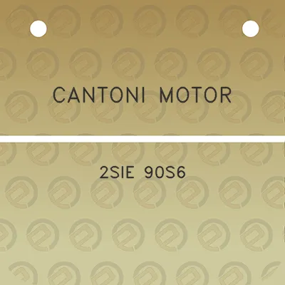 cantoni-motor-2sie-90s6