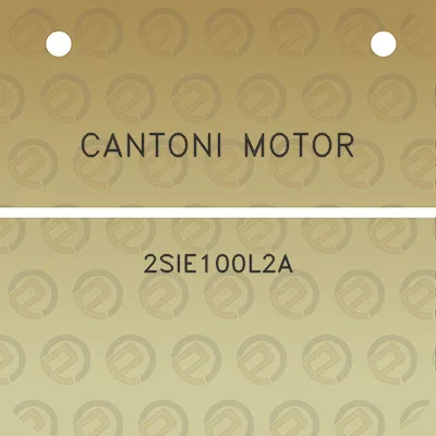 cantoni-motor-2sie100l2a