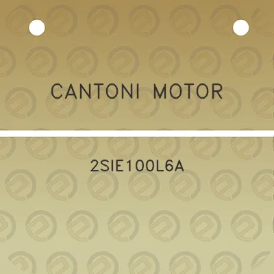 cantoni-motor-2sie100l6a