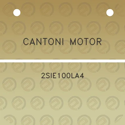 cantoni-motor-2sie100la4