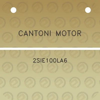 cantoni-motor-2sie100la6