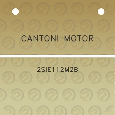 cantoni-motor-2sie112m2b