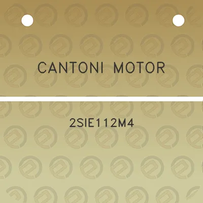 cantoni-motor-2sie112m4