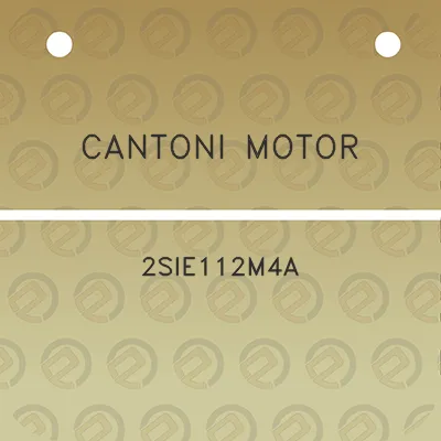 cantoni-motor-2sie112m4a