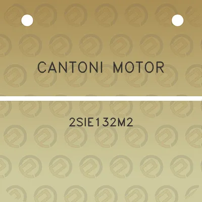 cantoni-motor-2sie132m2