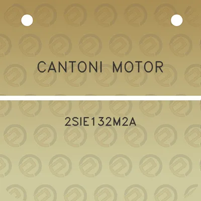 cantoni-motor-2sie132m2a