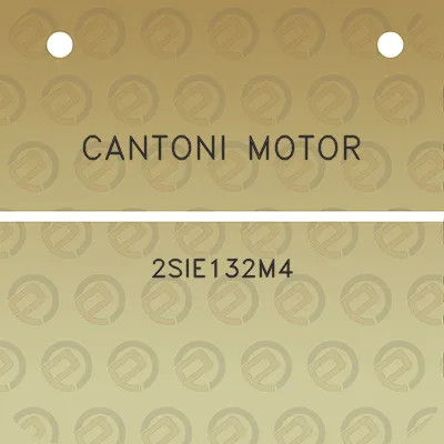 cantoni-motor-2sie132m4