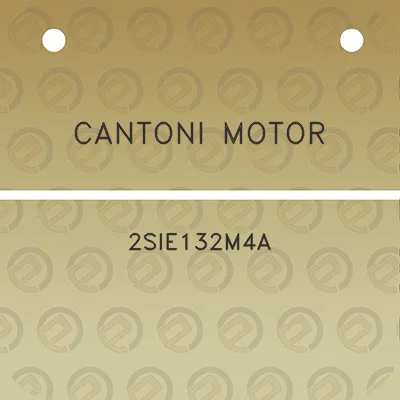 cantoni-motor-2sie132m4a