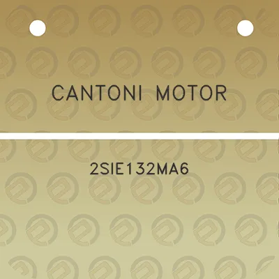 cantoni-motor-2sie132ma6