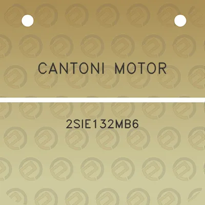 cantoni-motor-2sie132mb6