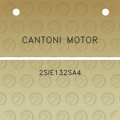 cantoni-motor-2sie132sa4