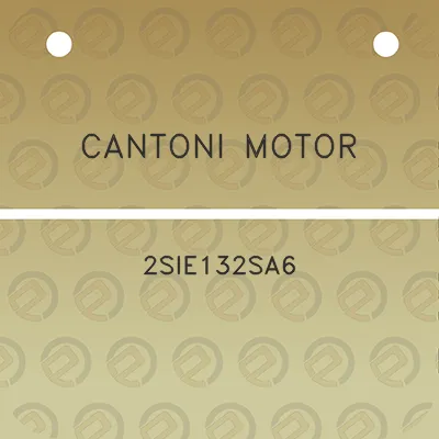 cantoni-motor-2sie132sa6