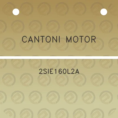 cantoni-motor-2sie160l2a