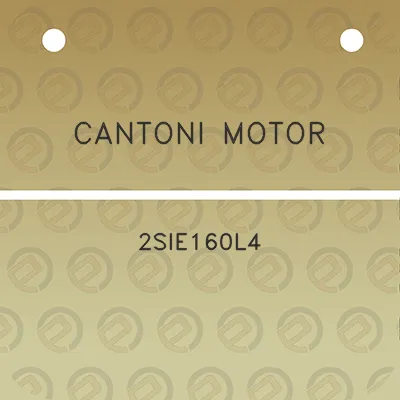 cantoni-motor-2sie160l4