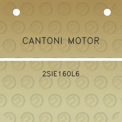 cantoni-motor-2sie160l6