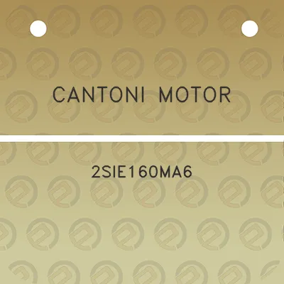 cantoni-motor-2sie160ma6